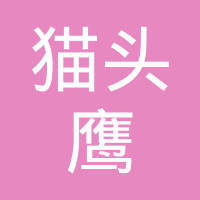 探秘貓頭鷹網絡科技 優勢、業務與市場評價
